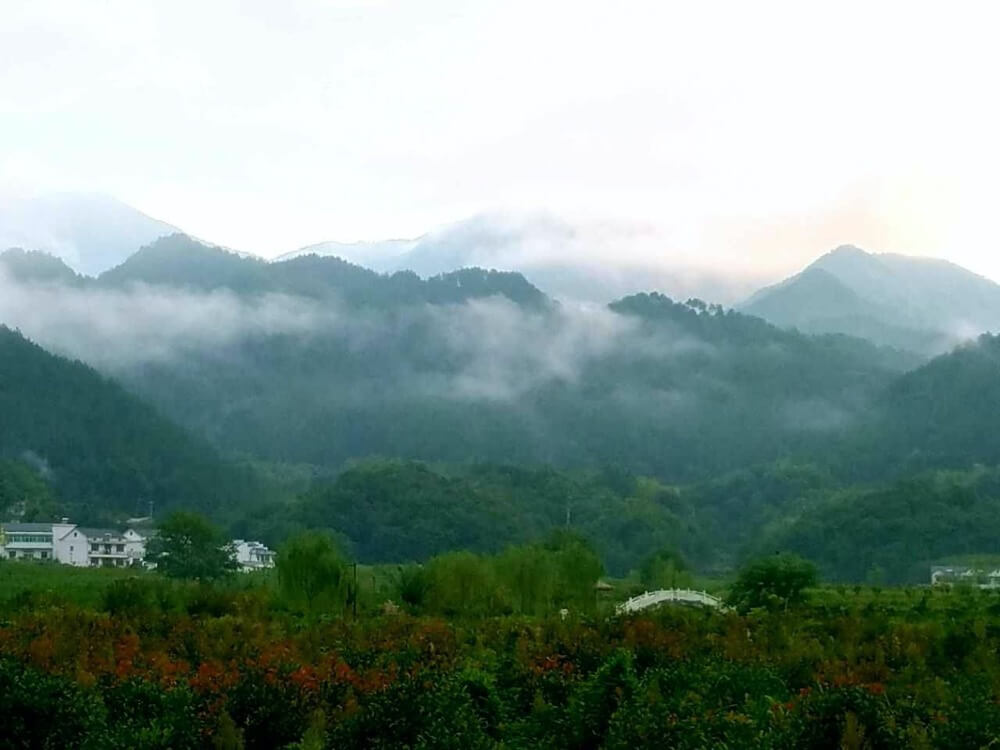 余先生的故鄉在崇山峻嶺中優美秀麗